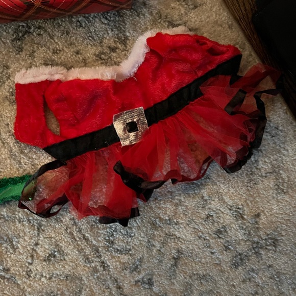 Festive Pet Holiday Outfits - Picture 4 of 5